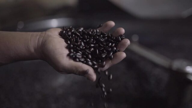 Dark roasted coffee grains falling from a hand with a roaster machine in the background