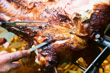 Chef Hands cutting whole grilled pork for steaks with knife. Pig grilled traditional coal and fire....