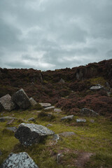Peak District Landscape
