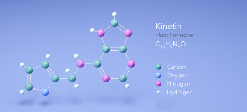 kinetin, molecular structures, plant hormone, 3d model, Structural Chemical Formula and Atoms with Color Coding