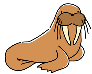 水族館　海洋生物,セイウチ