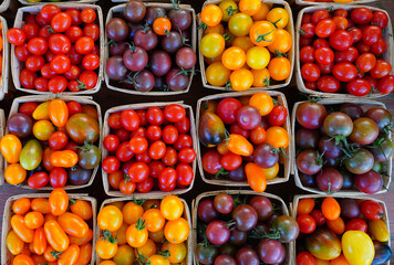 Baskets of colorful cherry tomatoes at the farmers market