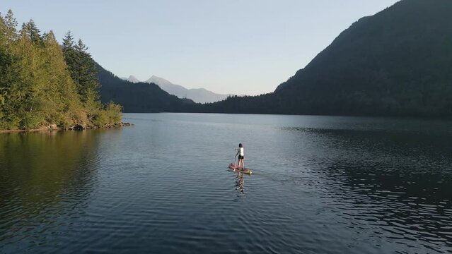 Adventurous Woman Paddling on a Paddle Board in a peaceful lake. Sunny Sunset. Hicks Lake, Sasquatch Provincial Park near Harrison Hot Springs, British Columbia, Canada. Slow Motion