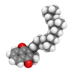 Vitamin K1 (phylloquinone) molecule