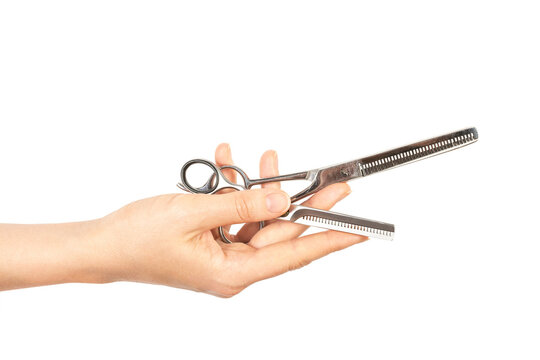 A woman's hand holds a pair of thinning scissors. Isolated on white background