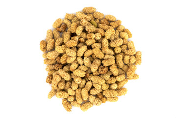 the dried white mulberry (Morus alba) common mulberry, silkworm mulberry