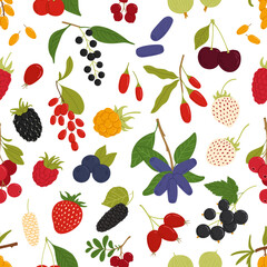 Fototapeta na wymiar Organic ripe berries seamless pattern, strawberry, raspberry and blueberry fruits, vector background. Cherry, blackberry and bird cherry with gooseberry, cranberry, blackcurrant and redcurrant pattern