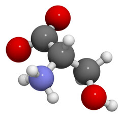 Serine (Ser, S) amino acid, molecular model.