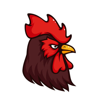 Brown rooster mascot of sport team. Vector head of angry chicken, cock or cockerel isolated symbol with side view of poultry farm bird. Aggressive rooster animal with brown feathers and danger beak