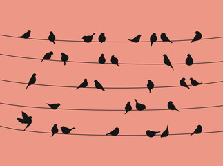 Sparrow or bullfinch birds flock on power line. Vector black silhouettes of city birds sitting on wires or telephone cables over sunset sky background, wildlife or urban nature themes