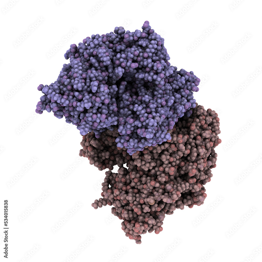 Wall mural prostate-specific membrane antigen (psma), chemical structure