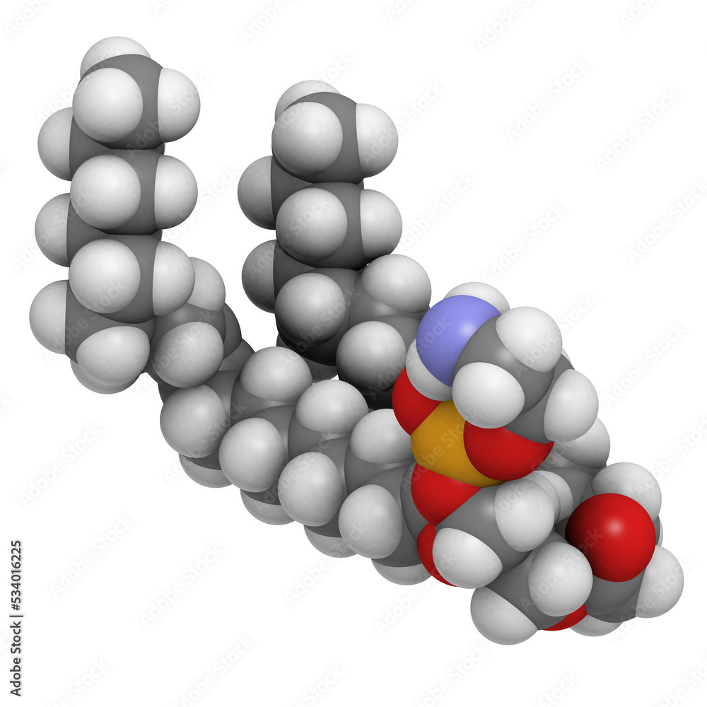 Canvas Prints Palmitoyloleoylphosphatidylethanolamine (POPE) cell membrane building block, molecular model.