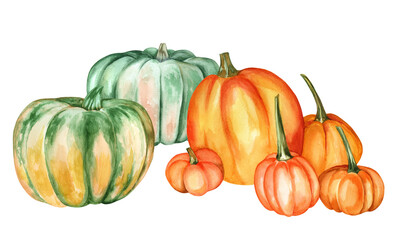 Beautiful set of pumpkins on an isolated white background. Watercolor illustration. Hand-drawn elements. Perfect for cards or posters for Thanksgiving, Halloween, Farmer's Festival.