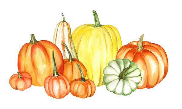 Beautiful set of pumpkins on an isolated white background. Watercolor illustration. Hand-drawn elements. Perfect for cards or posters for Thanksgiving, Halloween, Farmer's Festival.