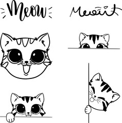 Fototapeta premium Cats