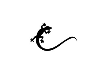 
Lizard vectors design and illustration.