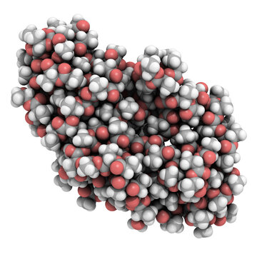 Polylactic acid (PLA, polylactide) bioplastic, chemical structure. Biodegradable polymer used in medical implants, etc.
