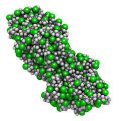 Neoprene (polychloroprene) synthetic rubber, chemical structure.