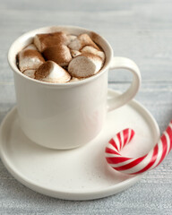 Cocoa marshmallows in traditional New Year's chocolate with caramel.