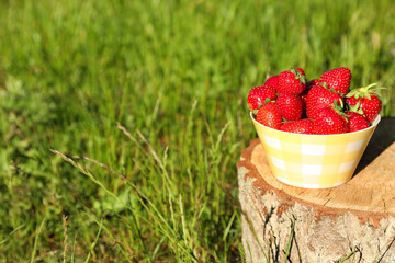 Bowl of ripe strawberries on tree stump outdoors. Space for text