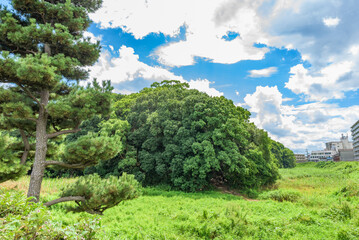 Fototapeta premium Ichinoyama Kofun of the World Heritage Site 