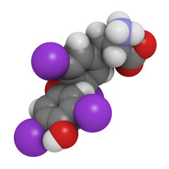 thyroxine hormone molecule, chemical structure.