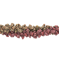 keratin intermediate filaments, chemical structure.