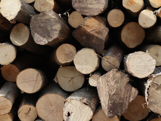 pile of wood