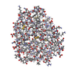 trypsin enzyme molecule, chemical structure.