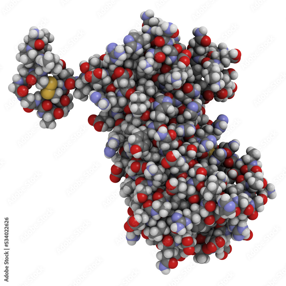 Canvas Prints human prolactin hormone (prl, luteotropic hormone, lth), chemical structure