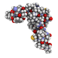 Human parathyroid hormone (PTH, parathormone, parathyrin), chemical structure