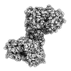 Memapsin 2 (beta secretase) protein, chemical structure