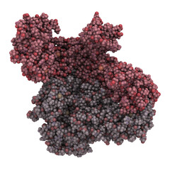 HIV-1 reverse transcriptase enzyme, chemical structure