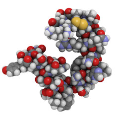 Amylin (Islet Amyloid PolyPeptide, IAPP) protein molecule, chemical structure.