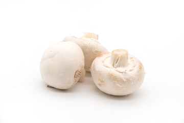 Mushrooms. View from above. Close-up of three mushrooms. Delicious and healthy mushrooms are grown at home. Fresh raw mushroom. Food. Cooking. Veganism. Isolated.