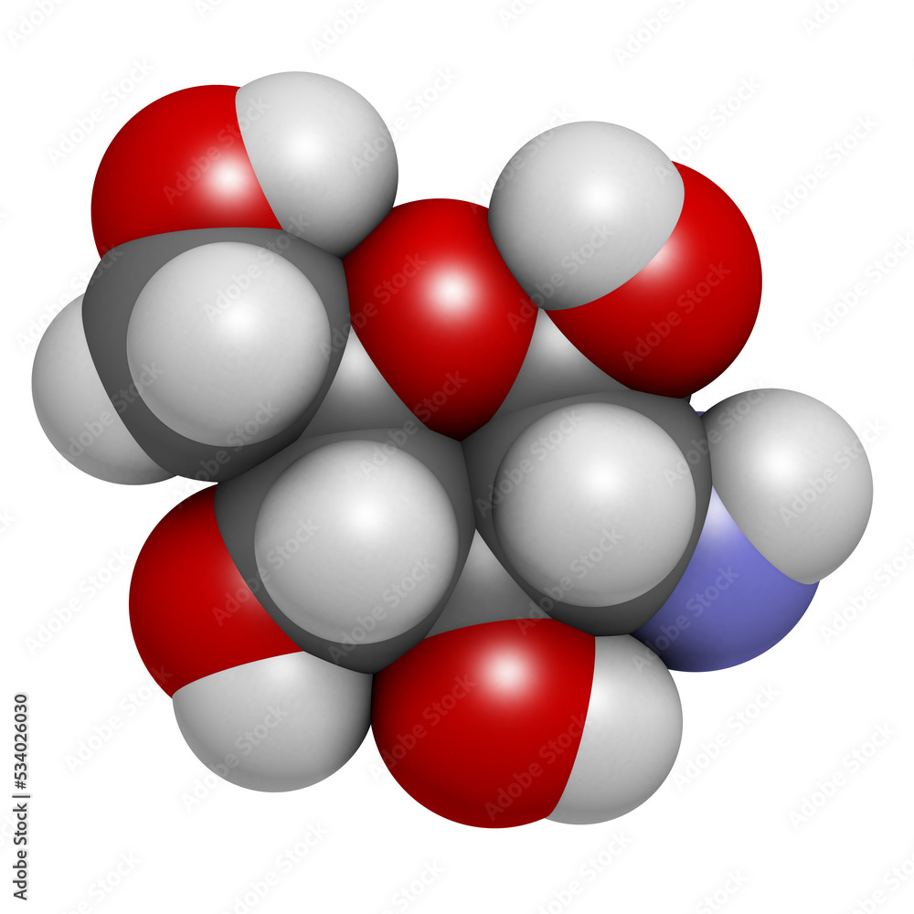 Wall mural glucosamine dietary supplement molecule. used in treatment of osteoarthritis. 3d rendering.