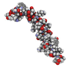 glucose-dependent insulinotropic peptide or gastric inhibitory polypeptide (GIP), chemical structure