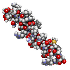 Glucagon-like peptide 2 (GLP-2) peptide molecule. Its recombinant analog teduglutide is used to treat Short-Bowel Syndrome, an orphan disease.