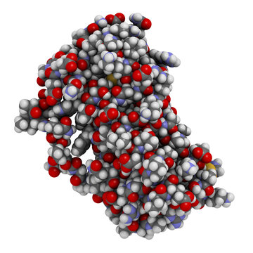 Granulocyte Colony-stimulating Factor (GCSF, Filgrastim) Molecule. Used To Treat Neutropenia.