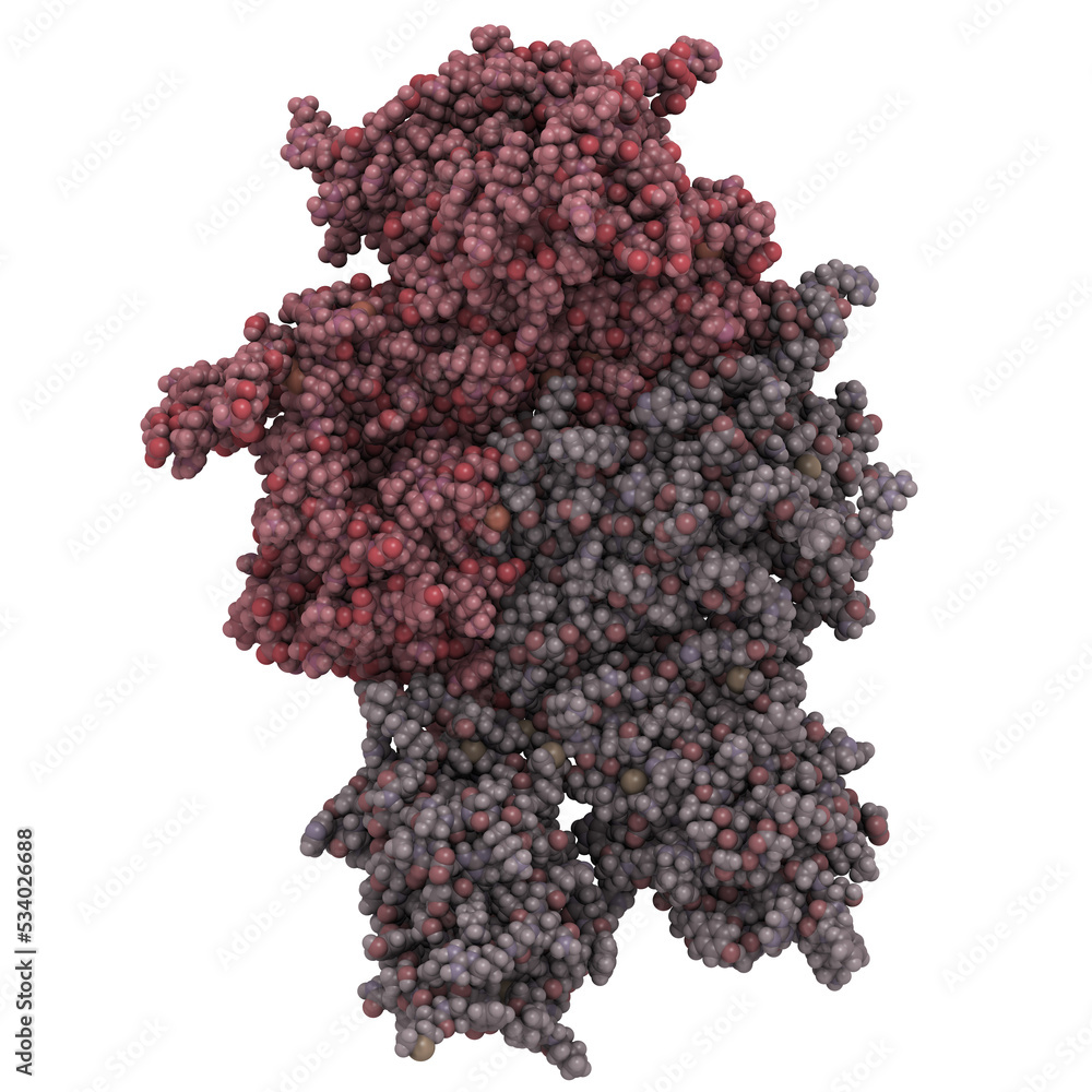 Sticker Coagulation factor VIII (FVIII) molecule, chemical structure