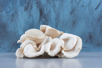 Pile of oyster mushroom on grey background