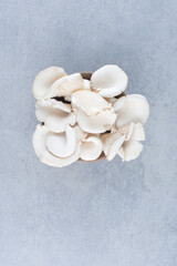 oyster mushroom closeup isolated on grey background