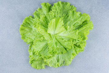 Close up photo Leaves of lettuce on the grey background