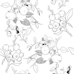 Fototapeta premium Sharon fruits and berries line art ink style pattern. Suitable for background, wallpaper, card and packaging.
