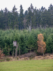 Hochsitz am Waldrand des Böhlen, Medebach, Hochsauerland