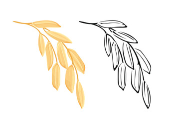 Paddy Rice ear. Vector color illustration and outline of agricultural plant. Healthy food icon.
