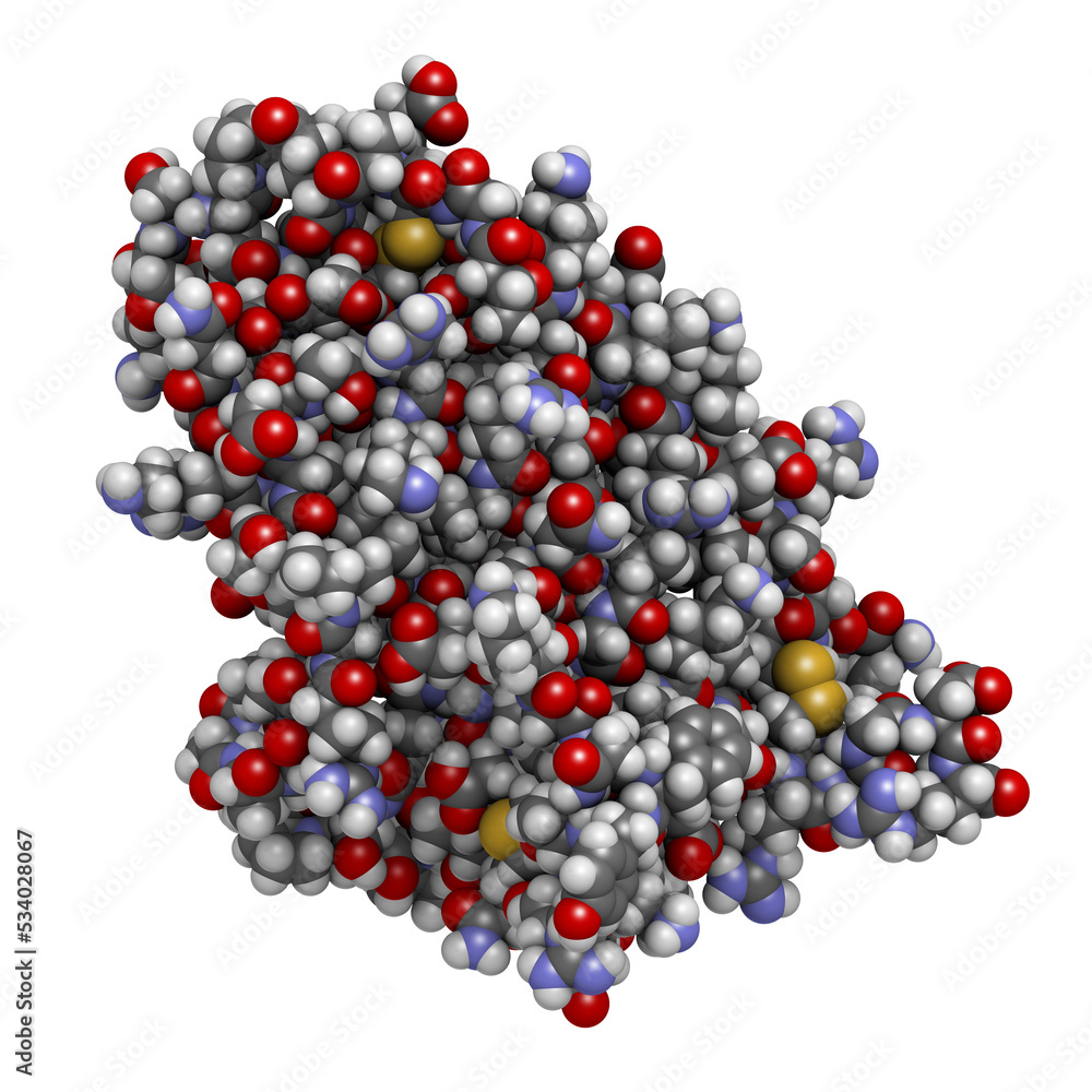 Poster erythropoietin (epo, epoetin) protein hormone. stimulates production of red blood cells. used as dru