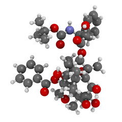 Docetaxel cancer chemotherapy drug molecule. Taxane class drug used in treatment of breast, prostate, lung and ovarian cancer (etc.)