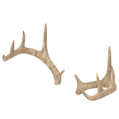 Fototapeta premium 3d rendering illustration of antlers