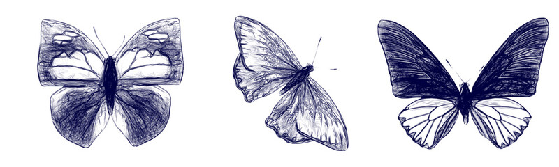 Set of butterflies drawn with a blue pen isolated on a white